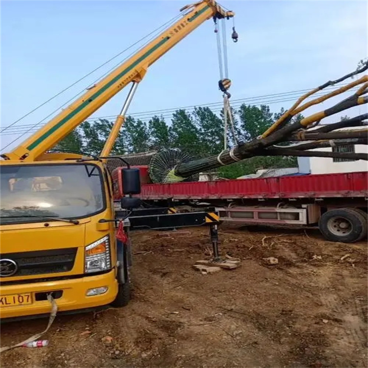 仙桃100吨吊车租赁费用怎么算？3大关键因素+省钱技巧全解析